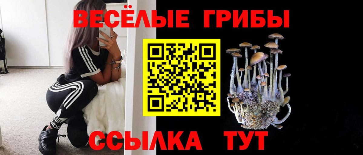 Екатеринбург  Псилоцибиновые грибы ЛСД  Вход с VPN 